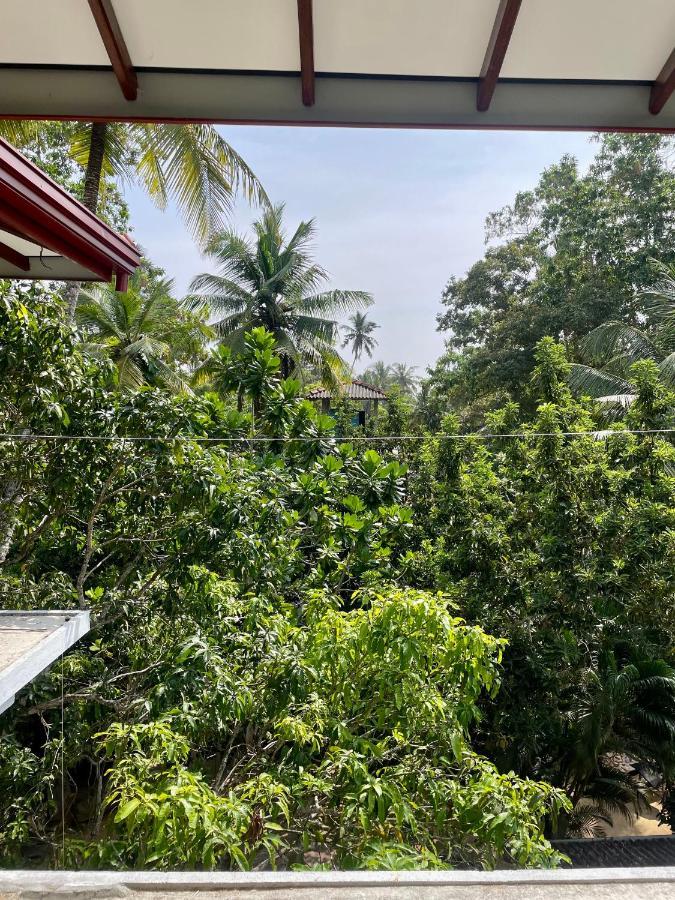 Jungle Escape Hiriketiya Hotel Dikwella Bagian luar foto