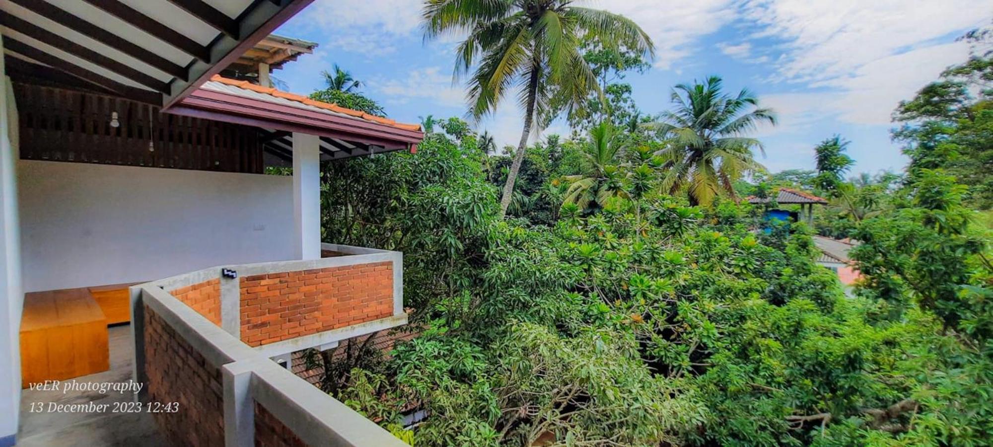 Jungle Escape Hiriketiya Hotel Dikwella Bagian luar foto